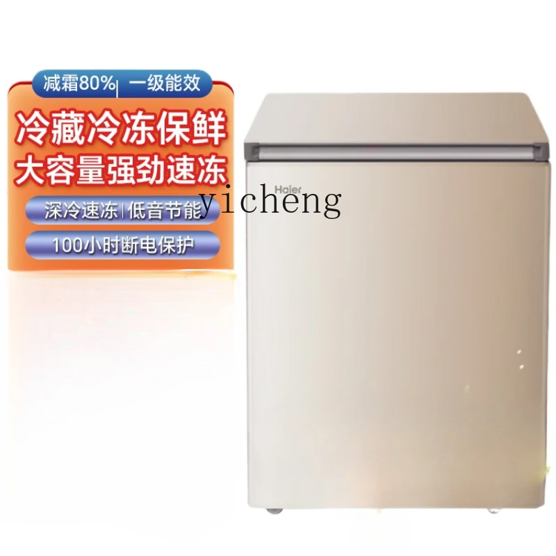 Food Storage Freezer - Lemari Es Mini Hemat Energi Bebas