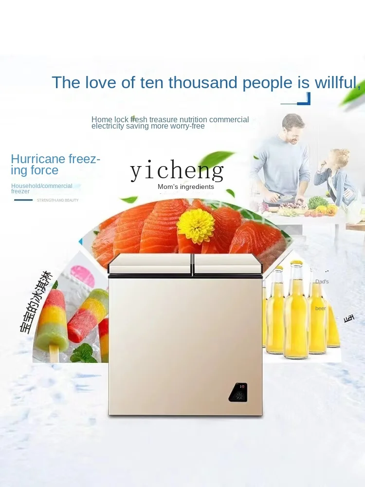 Lemari Es Mini Hemat Energi Be - Food Storage Freezer ulasan dan harga